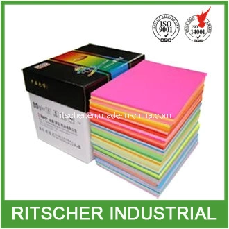 File Folder & Paper Hanging File & Suspension File of Office Supply