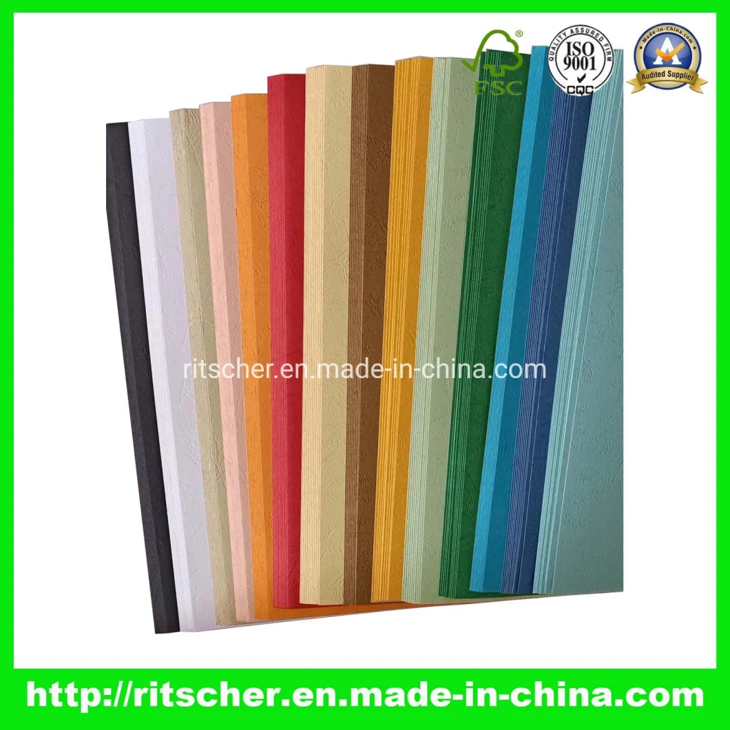 Plastic Clipboard of Office/School Supply & Stationery Items