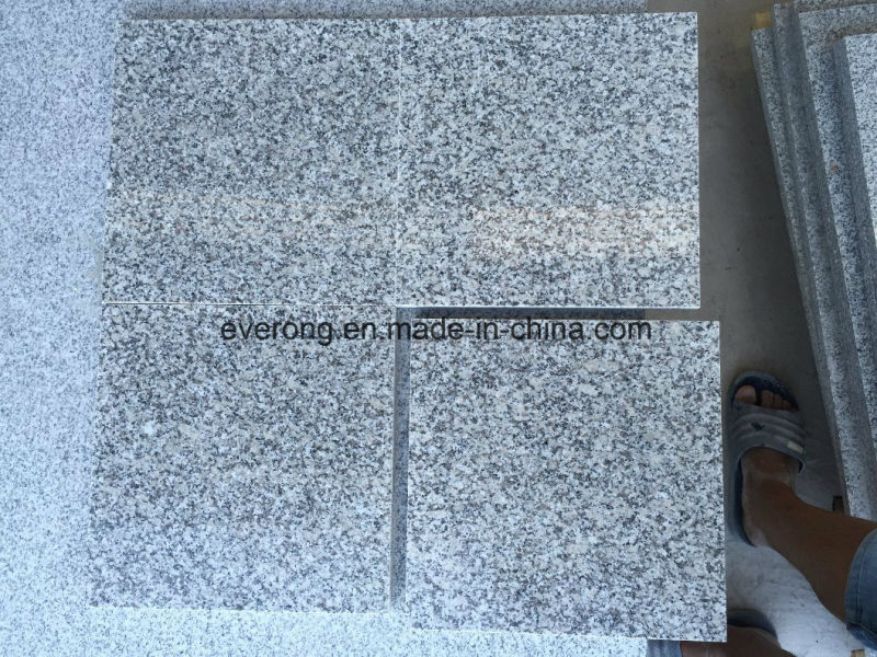 Wholesale Chinese Light Grey Granite Tile From Quarry Owner