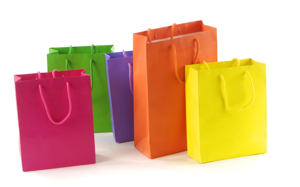 Custom Printed Paper Shopping Bags/Gift Bags (FLP-8940)