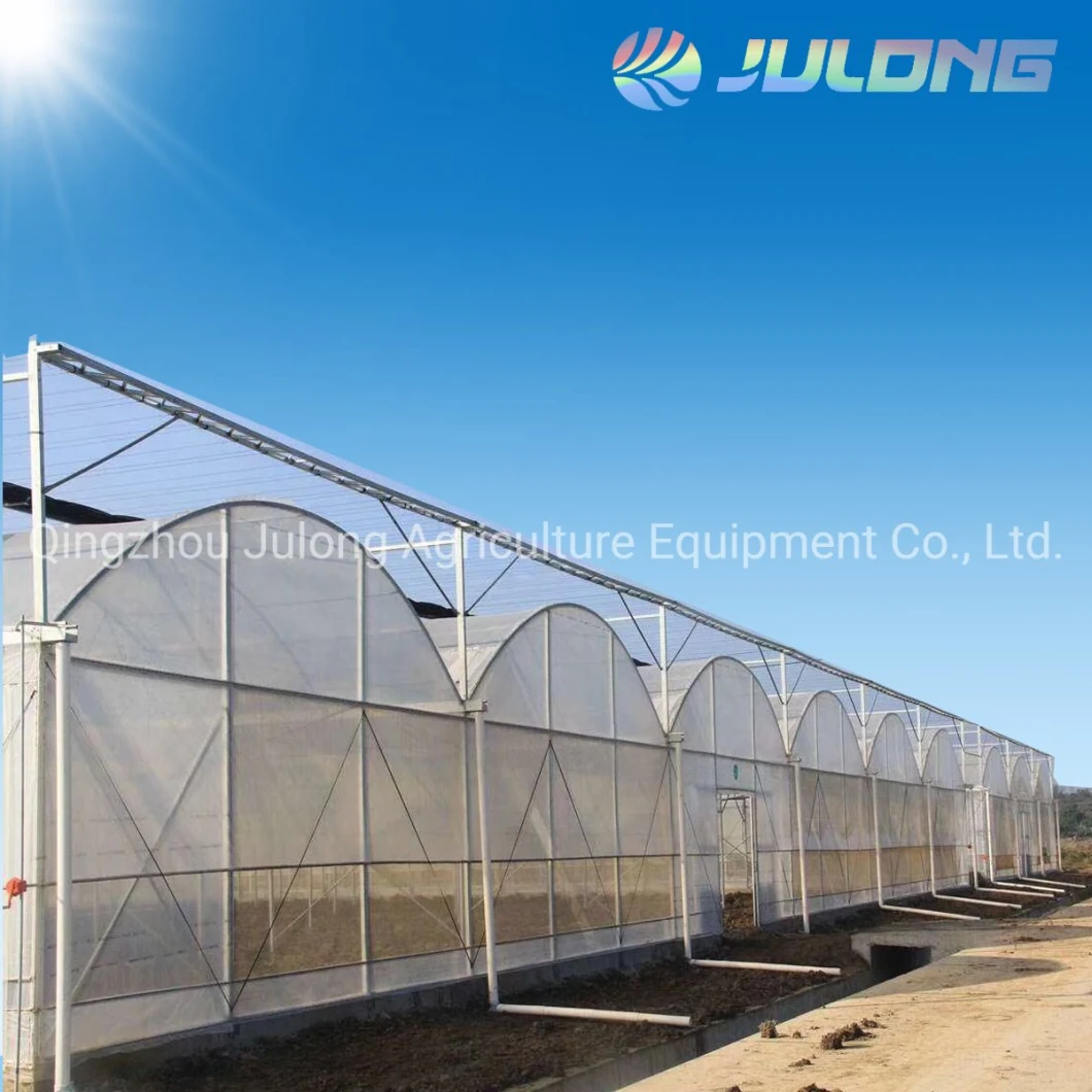 Multi-Span Arch Type File Greenhouse with Hydroponics System for Sale