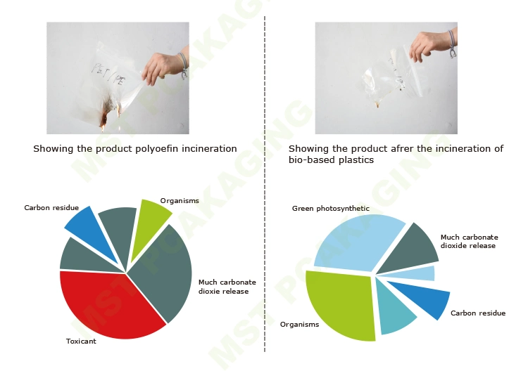 Eco-Friendly Stand up Zipper PLA Food Plastic Bag Pouch 100% Biodegradable Compostable Zipper Bag