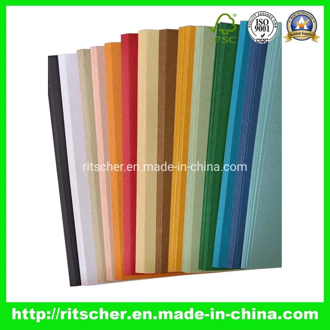 File Folder & Paper Hanging File & Suspension File of Office Supply