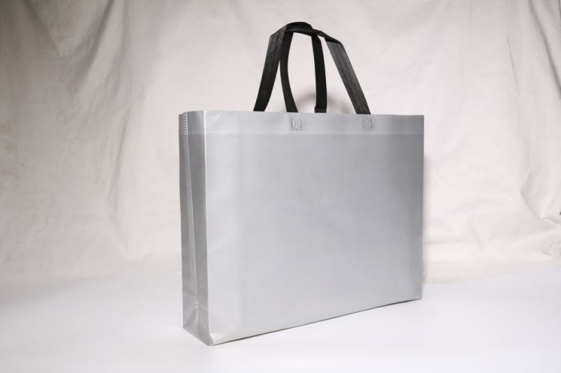 Promotional Customized PP Woven Non Woven Bag Shopping Tote Bag, Cooler Bag, Cotton Bag, Canvas Bag, Drawstring Bag