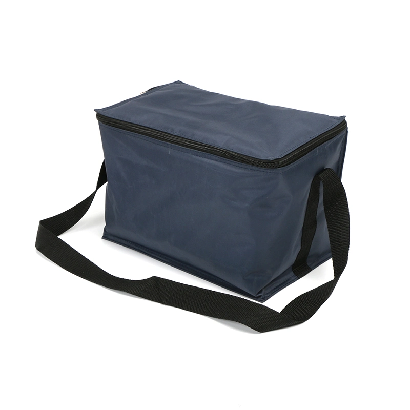 Customized Thermal Cooler Bag for Blood, Drug, Medication Transporting