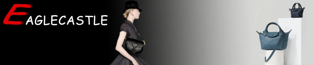OEM Fashion Women Handbag PU Shoulder Messenger Bag Hand Bag Tote Bag Shopping Bag (CX20848)