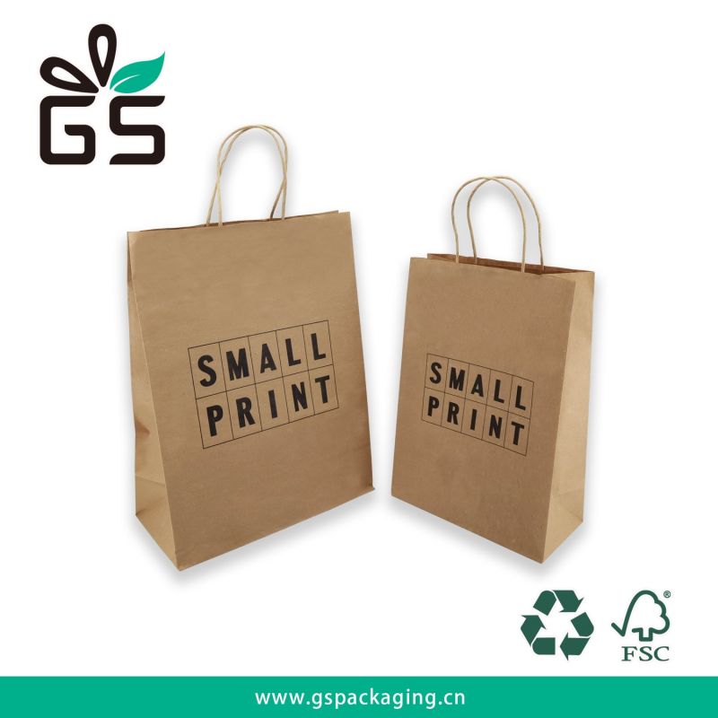 New Luxury Kraft Paper Bag/Shopping Bag/Gift Bag Manufacturer