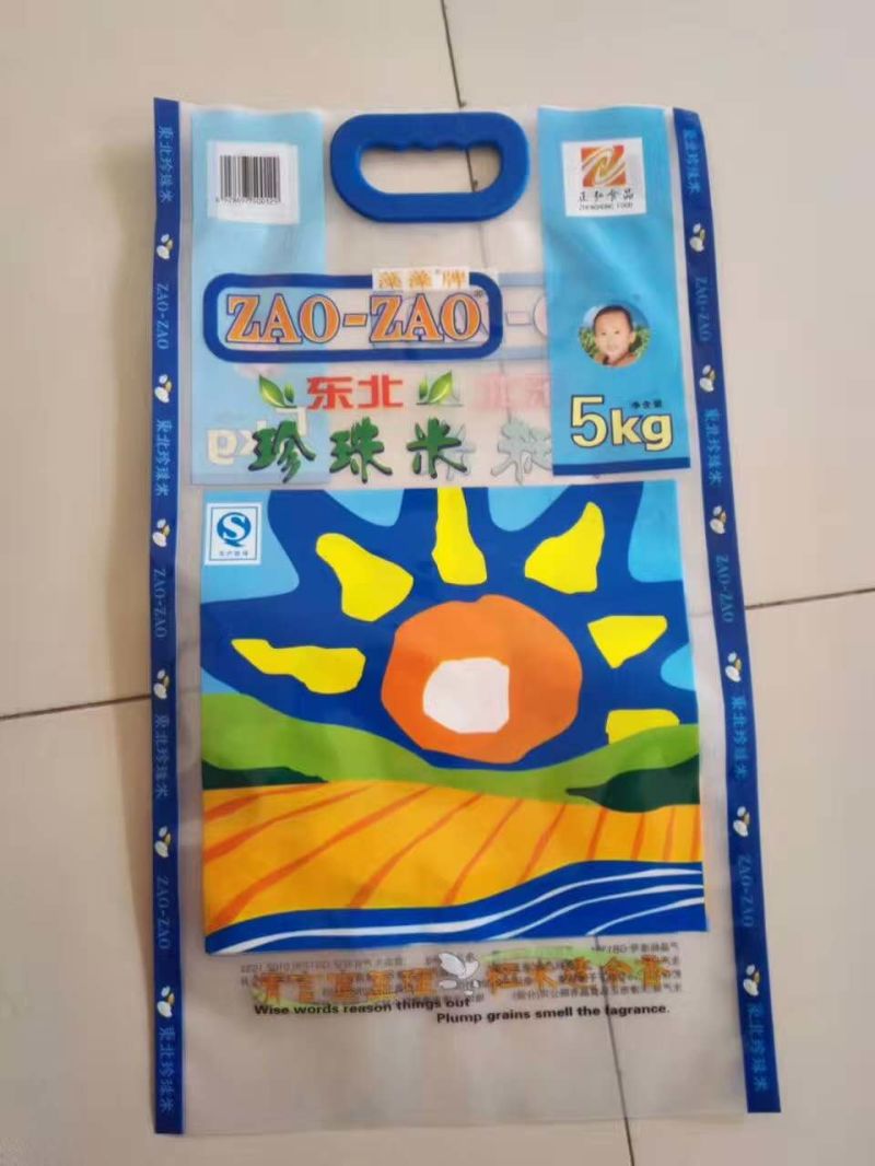 Laminated Plastic Zip Lock Bag with Stand up Zipper Bag