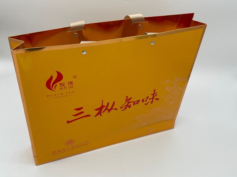 Luxury Fashion High-End Custom Shopping Bags Handbags Paper Bags