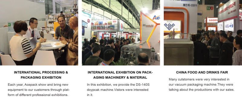 Automatic Stand up Pouch Zipper Doypack Packing Machine