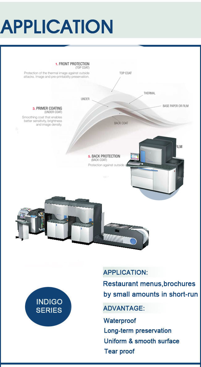 Double Side Coated PP Papers, HP Papers, Paper Rolls