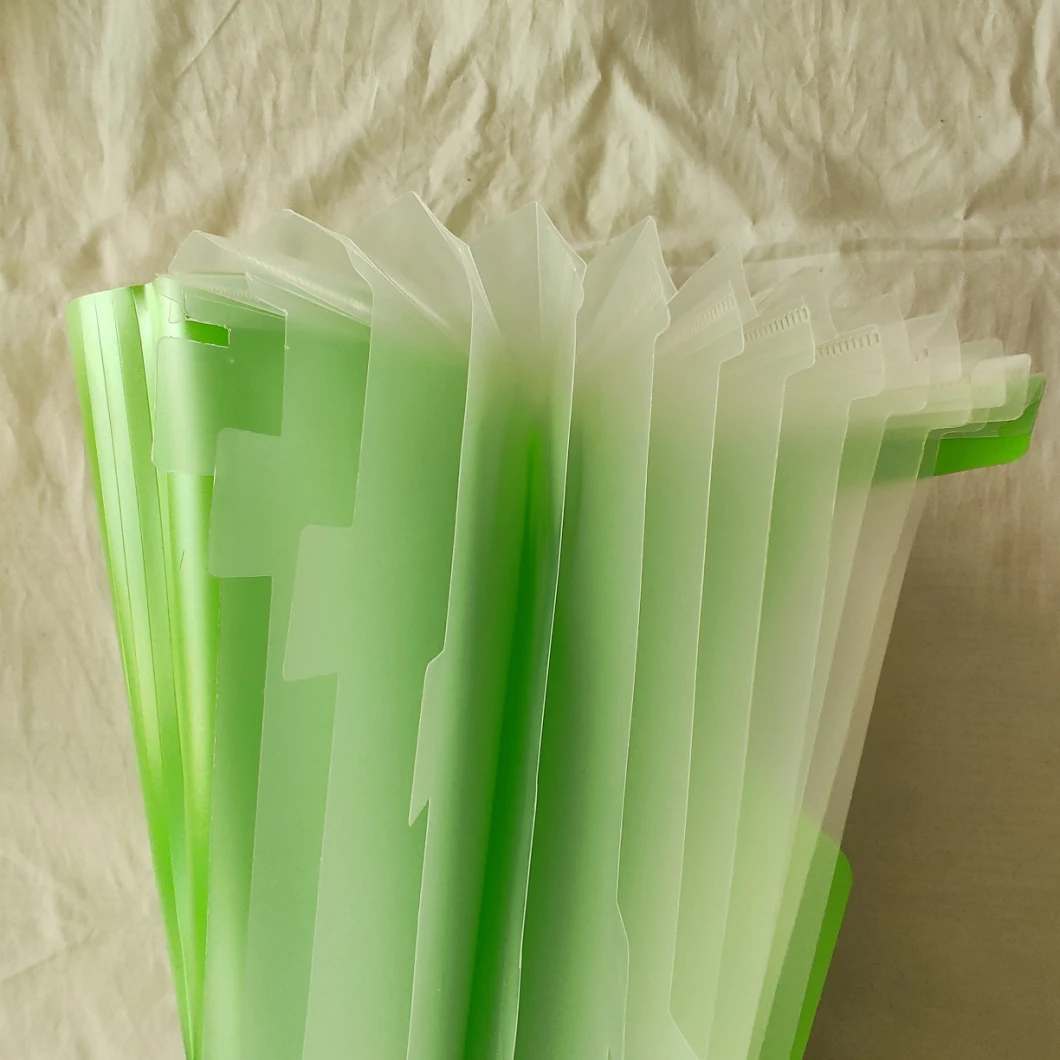 File Folder Pockets Accordion Document Organizer (Green)
