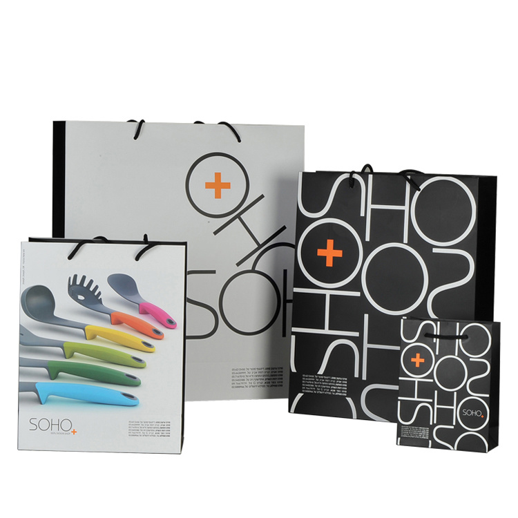 Luxury Custom Matte Laminated Gift Packaging Cosmetic Paper Bag