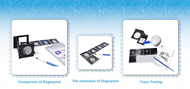 Science Educational Kits for Primary School Education Toys