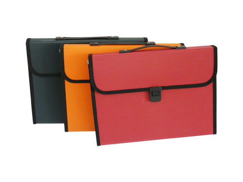 A4 13 Pockets Expanding File with Handle, Buckle Closure (E1107)