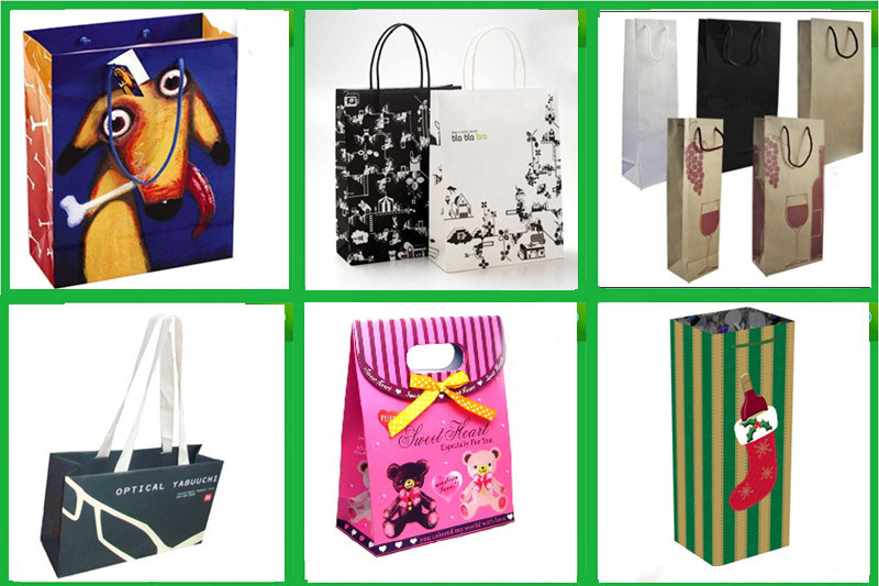 Bespoke Luxury Paper Shopping Bag for Gift / Cosmetic / Perfume Packaging