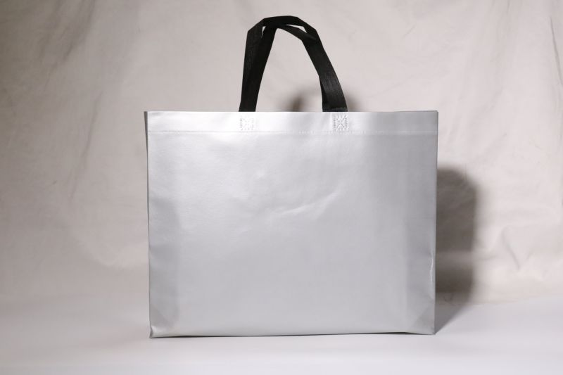 Promotional Customized PP Woven Non Woven Bag Shopping Tote Bag, Cooler Bag, Cotton Bag, Canvas Bag, Drawstring Bag