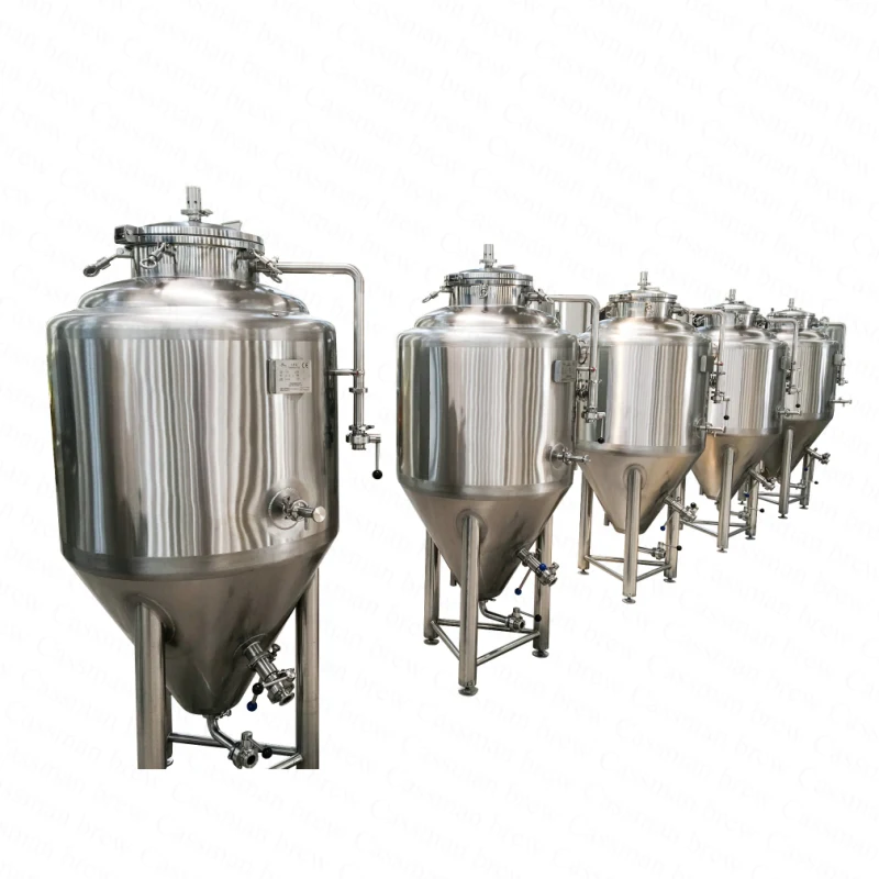 Cassman SUS304 200L 300L Home Brewing Fermenter Tank for Beer Bar