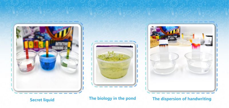 Science Educational Kits for Primary School Education Toys