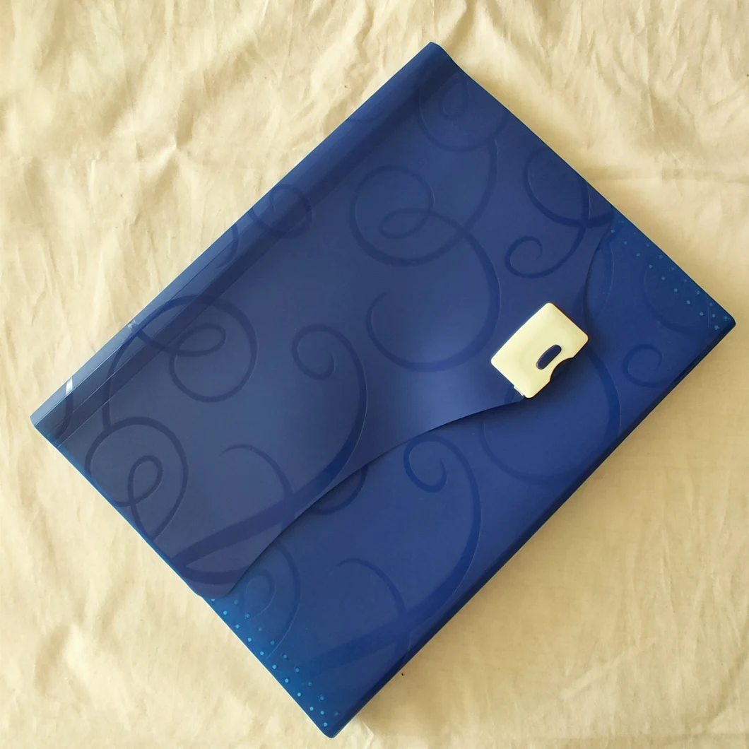 File Folder Pockets Accordion Document Organizer (Blue)