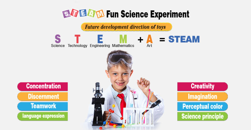 Toys Science Experiment Kits Educational for Primary School Education