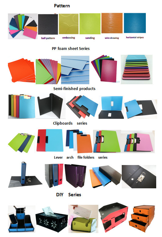 Ppfoam 12 Pockets Expanding File with Elastic Cord for Stationery