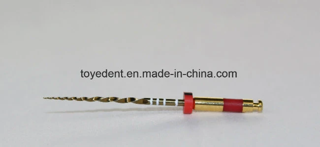 China Factory Supplier Root Canal File Dental Endo to&Fro Niti File Engine Use