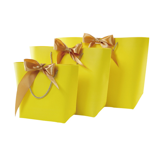 Paper Shopping Gift Bag Hot Selling Packaging Bag with Ribbon for Shopping Clothes and Gift