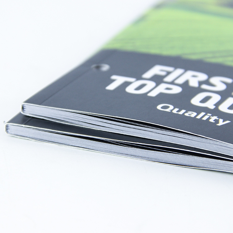 Custom Passport Size Booklet Printing Brochure Black White