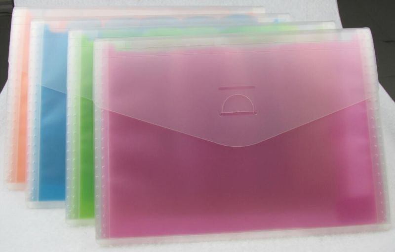 Customized 13 Pockets Expanding File/ File Bag (E053)