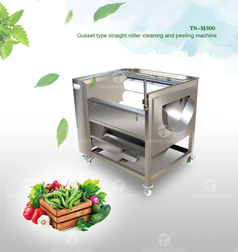 Potato Brush Washing Peeling Cleaning Machine Food Processing Machine (TS-M300)