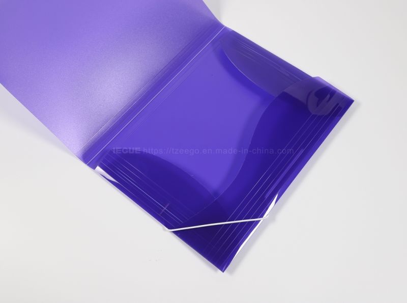 Modern Type A4 Clear PP Document Bag PP File Bag File Folder