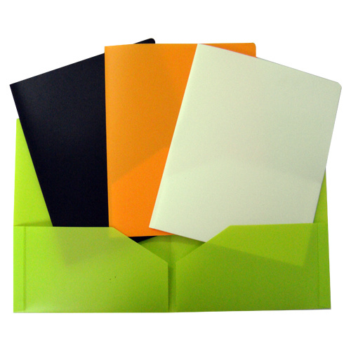 Customized File Folder in Two Pockets (F039)