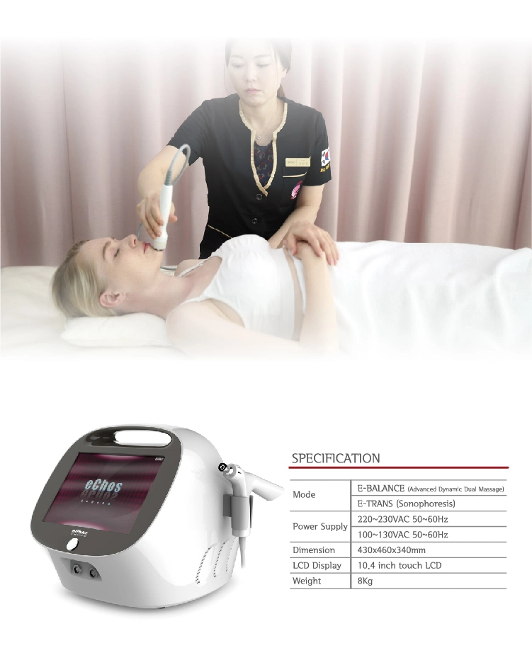 Portable RF Ultrasonic Facial Steamer / Skin Care / Massage Beauty Instrument