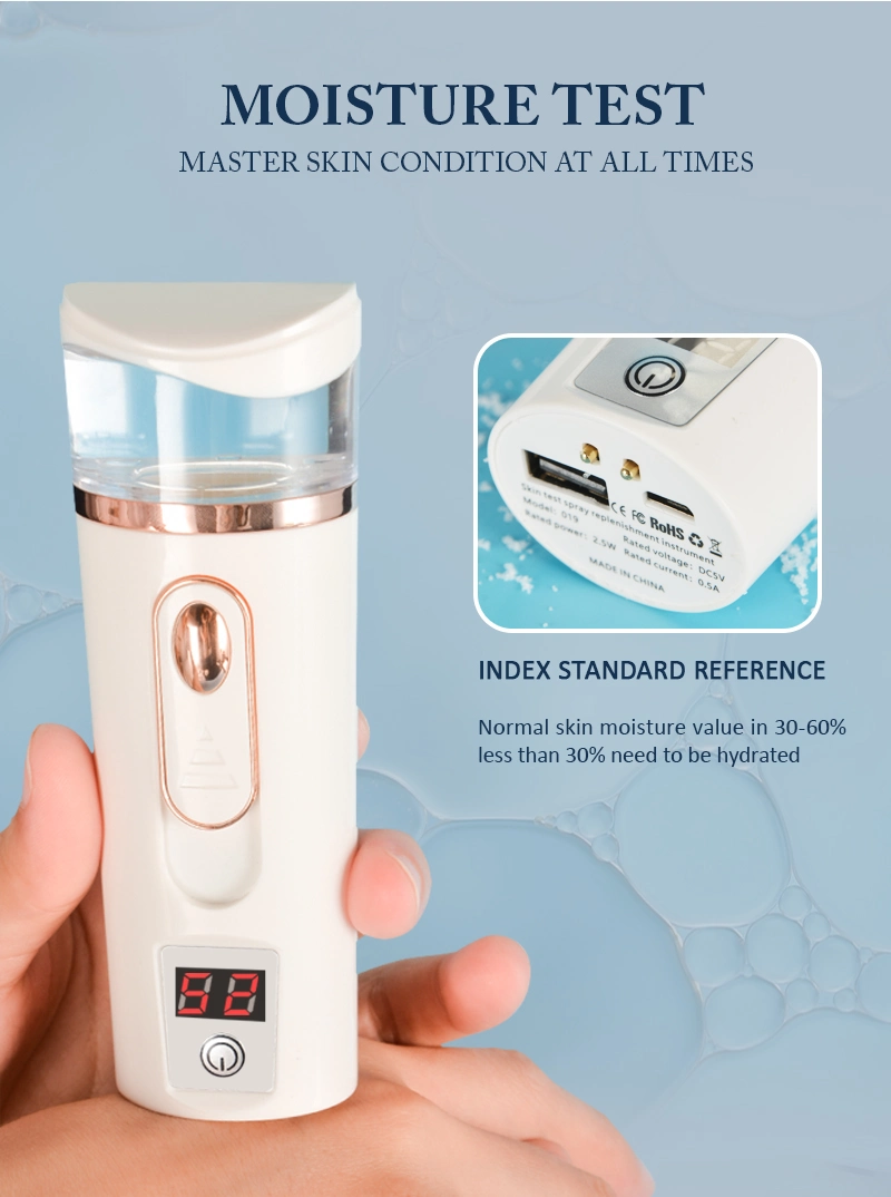 Portable 40ml Electric Facial Steamer Mist Sprayer Nano Mister Wholesale