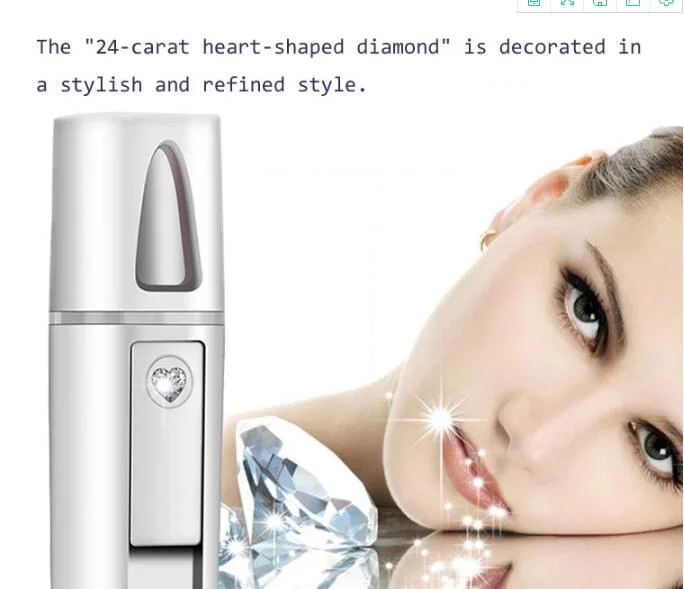 USB Rechargeable Handy Facial Steamer/ Face Mist Spray/Nano Mister with 15ml Water Volume
