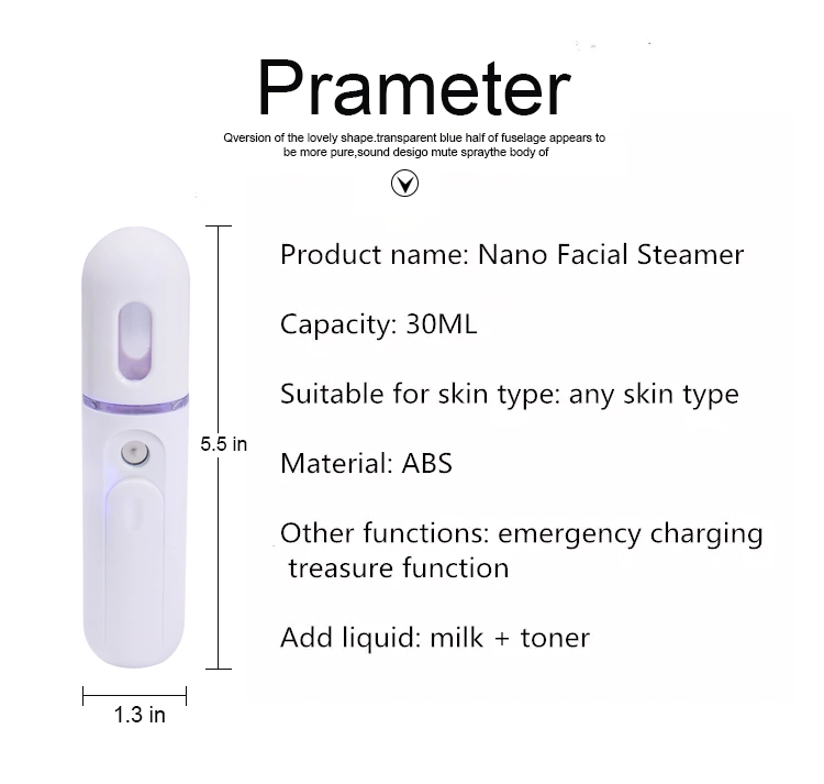 Face Steamer Handy 30ml Mist Sprayer Moisturizing Portable for Skin Hydrating Nano Sprayer