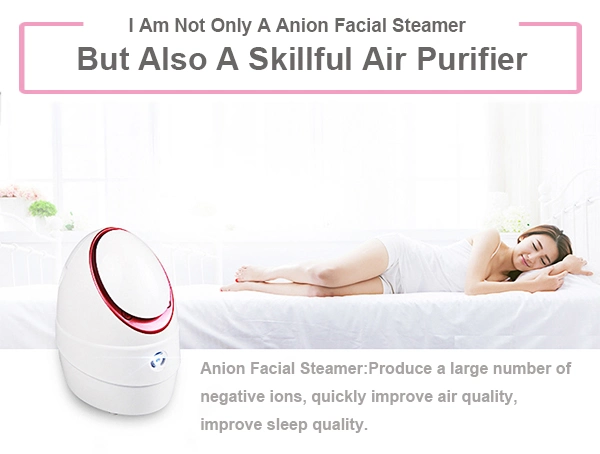 Home Use Portable Beauty Instrument Mist Sprayer Anion Facial Steamer