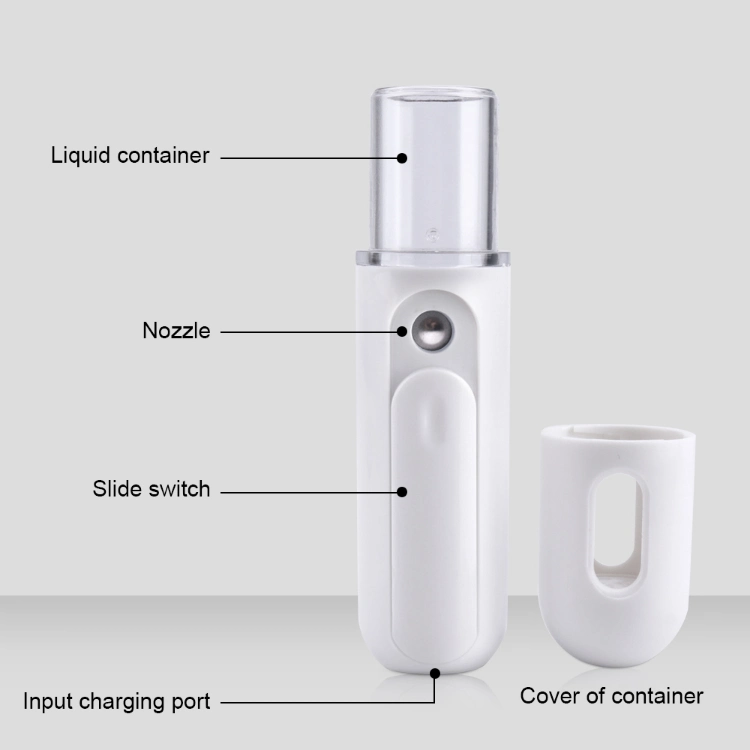 Home Use Mini Electric Ultrasonic Portable Nano Facial Steamer