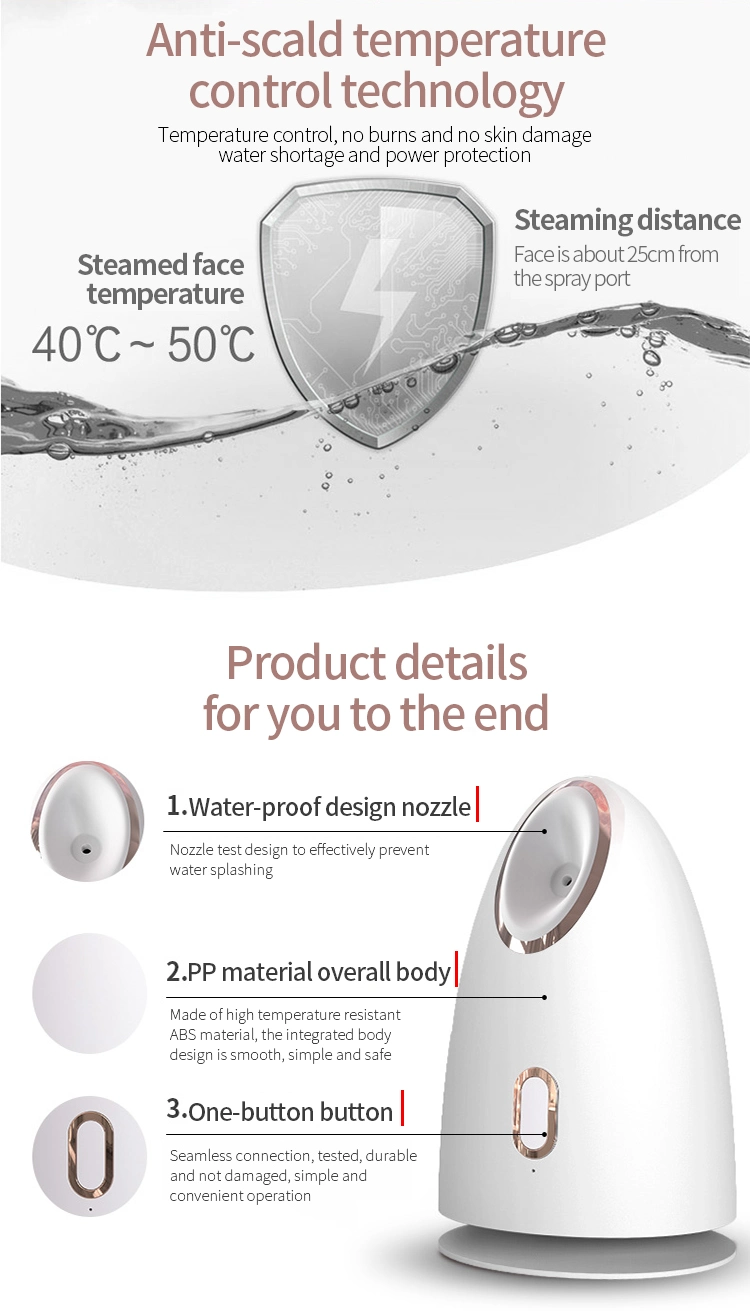 Salon Professional SPA Private Label Electric Hot Warm Mist Ionic Nano Portable Mini Portable Face Facial Steamer Machine