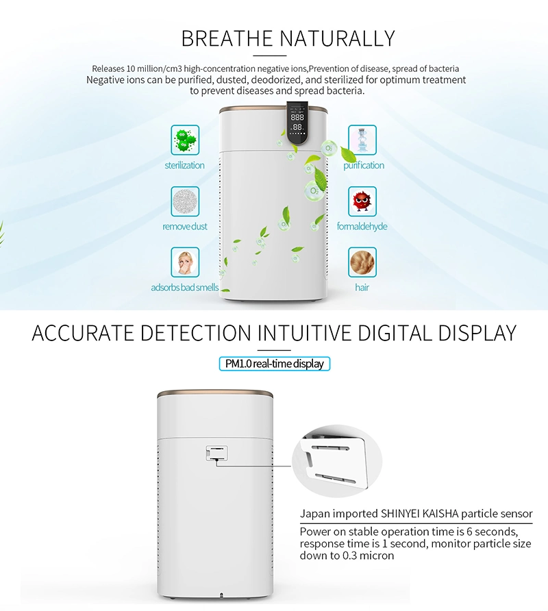 OEM Manufacturer Low Noise Negative Ion Air Purifier Low Price