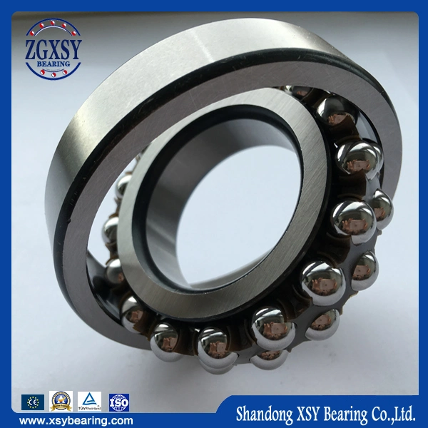 Self-Aligning Ball Bearing 1309 Double Row Stainless Steel Ball Bearing