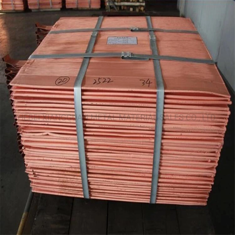 Factory Sale 99.99% Cu Copper Plate Cathode Copper Sheets Copper Rod Cathode in China