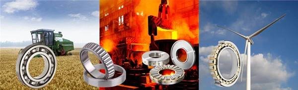 High Speed Deep Groove Ball Bearing with Low Noise (6313)