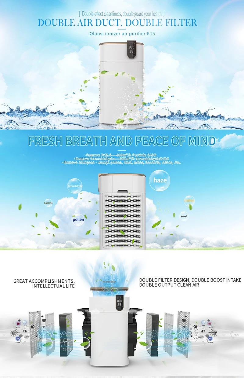 OEM Manufacturer Low Noise Negative Ion Air Purifier Low Price