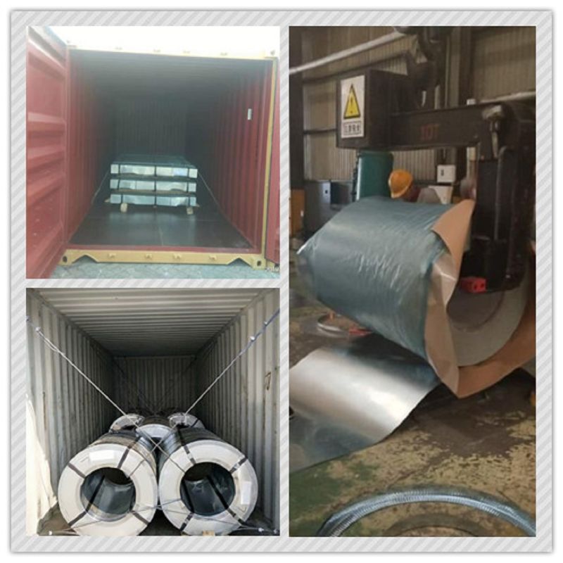 Hot Rolled HRC Pickled Oiled Galvanized Mild Steel Coil