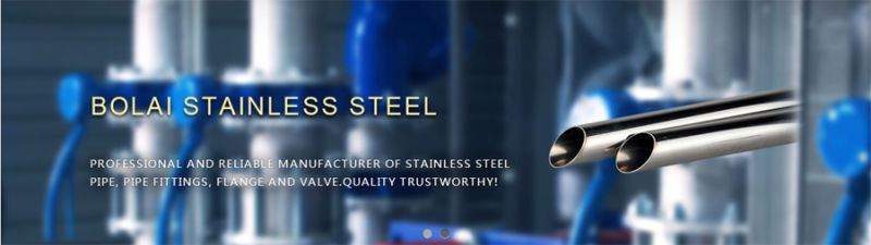 Welded Tp316 ASTM312 ASTM213 Steel Pipe Stainless Steel Pipe