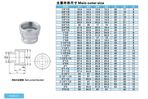 Stainless Steel Pipe Fitting BSPT Reducing Socket Banded Plumbing Reducer Fitting