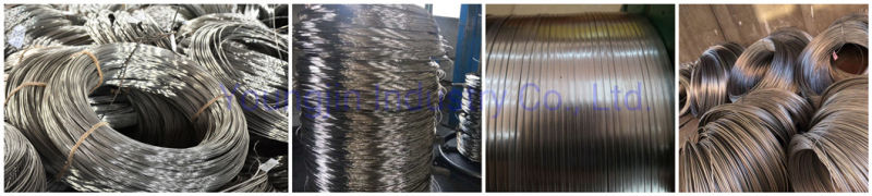 Stainless Steel Wire Rod (201, 202, 304, 316, 308, 309, 310, 410, 420, 430)