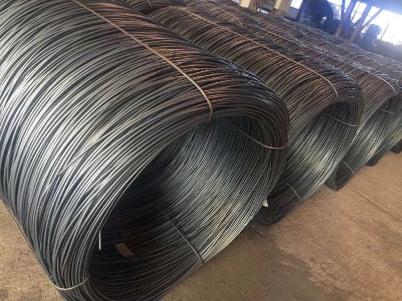 SAE1008 Wire Rod 5.5mm Low Carbon Wire Rod in Coils